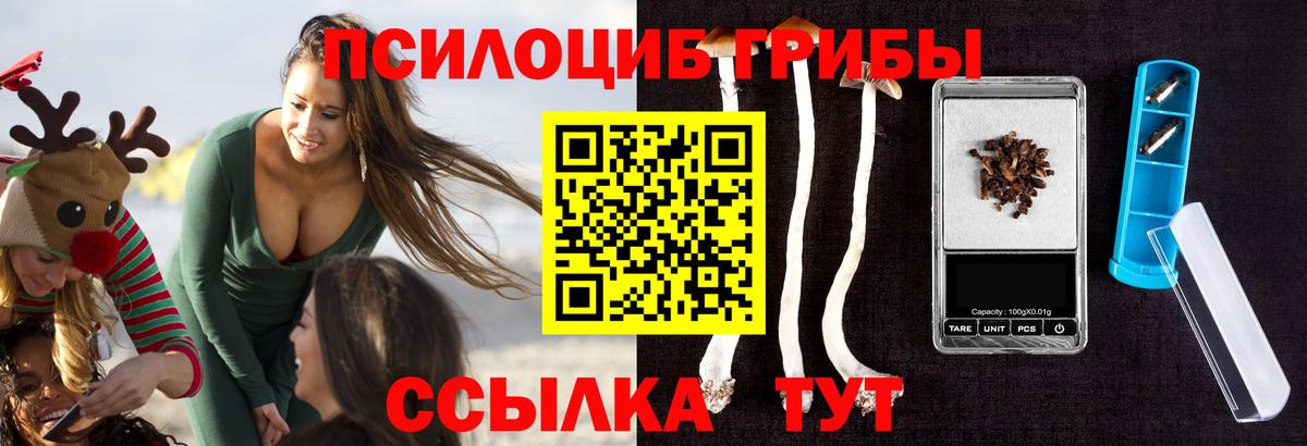 Псилоцибиновые грибы Psilocybine cubensis  Вход с VPN  наркота  Галлюциногенные грибы Cubensis  Зеленокумск 